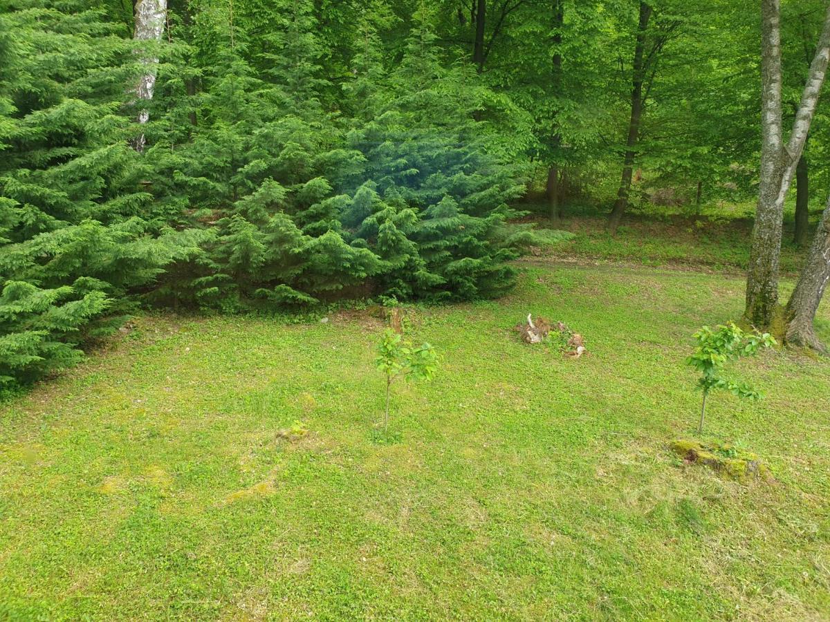 Fehérkőlápa Turistaház Panzió Lillafüred Habitación foto