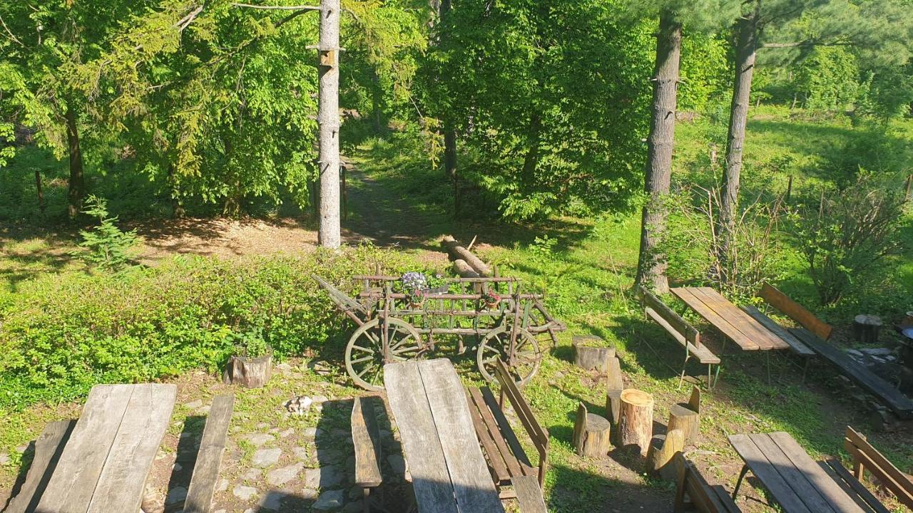 Fehérkőlápa Turistaház Panzió Lillafüred Exterior foto