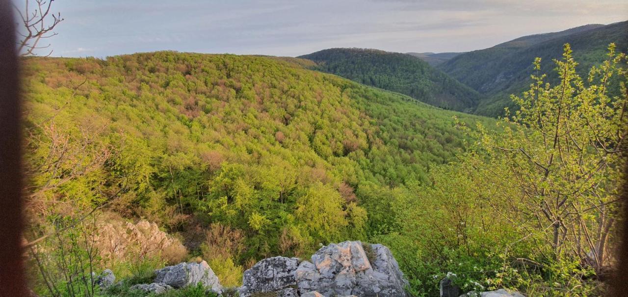 Fehérkőlápa Turistaház Panzió Lillafüred Exterior foto